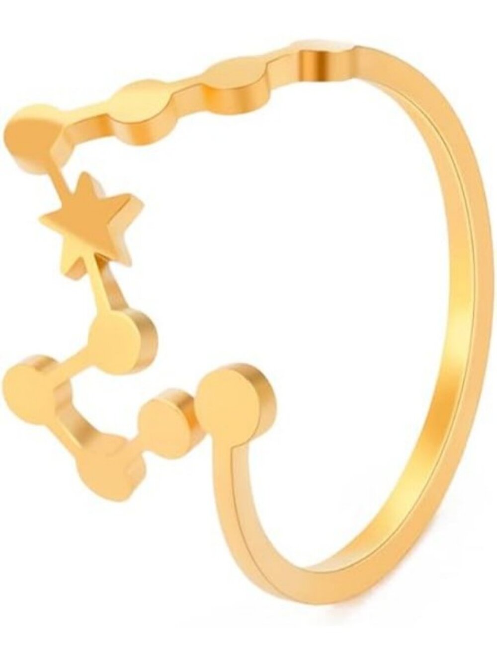 Pisces Gold Adjustable Zodiac Sign Constellation Stainless Steel Ring